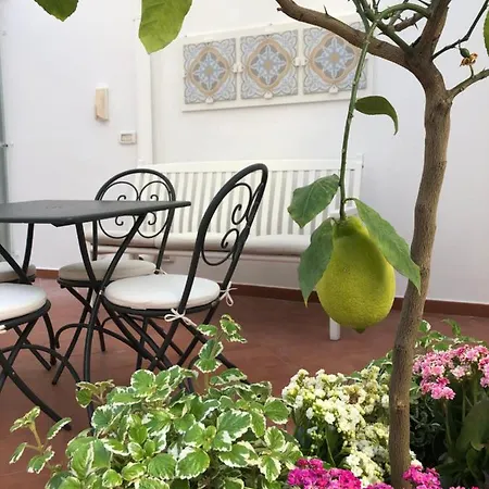 Le Maioliche Giovinazzo